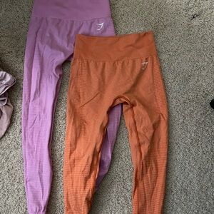 Gym shark leggings